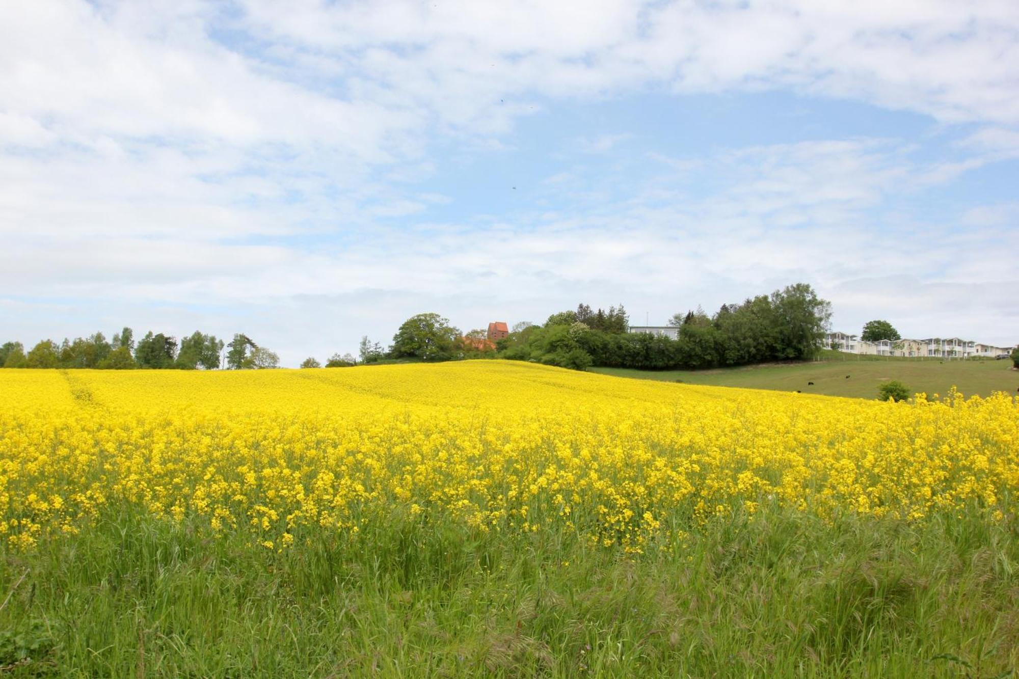 Mit Meerblick Und Balkon, Gratis Nutzung Vom Ahoi Erlebnisbad Und Sauna In Sellin - Meeresblick Fewo 14 Goehren  Esterno foto